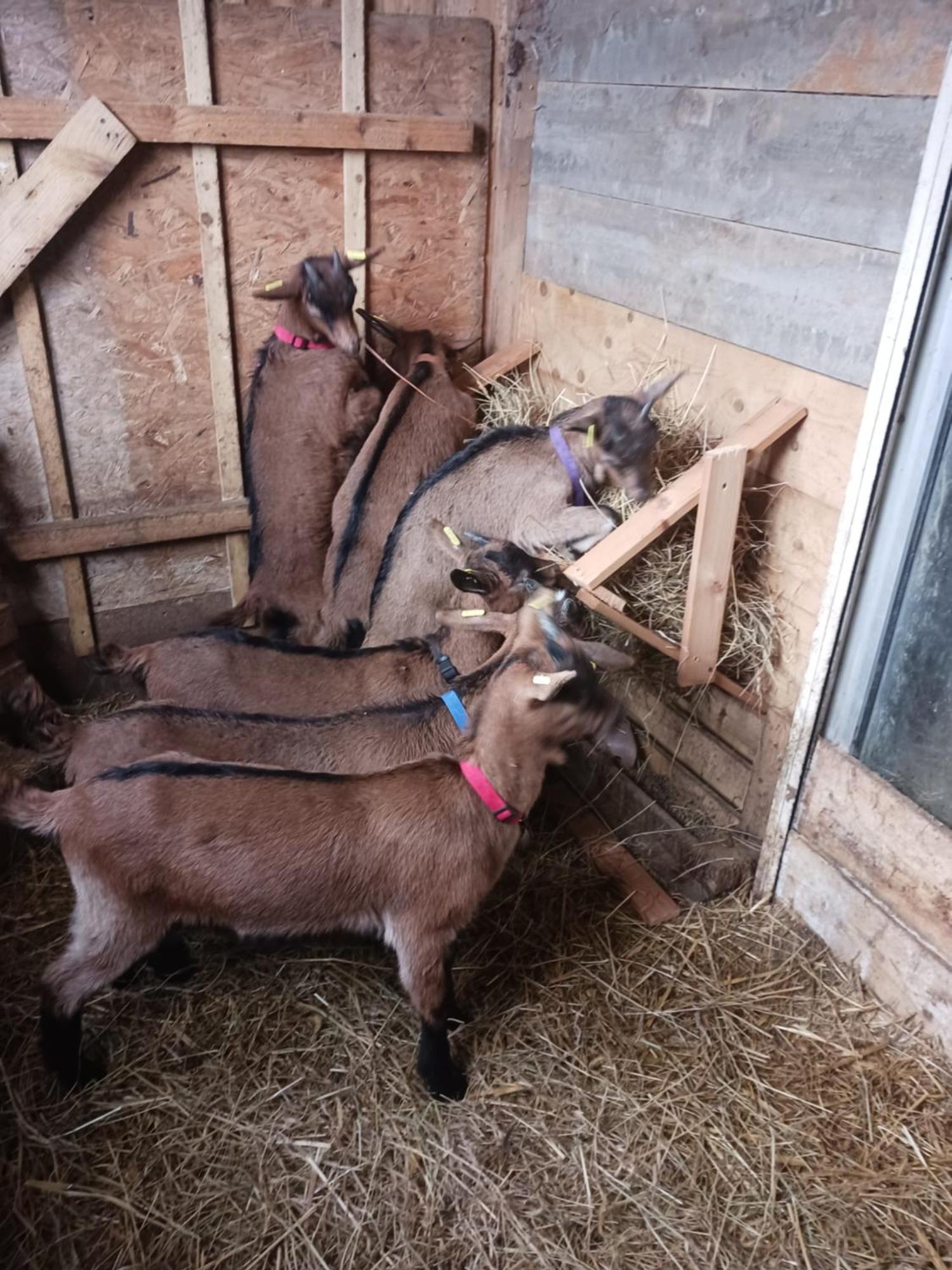 Tréguier La Ferme Stanczak 아파트 외부 사진